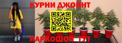 ешки Жуковский